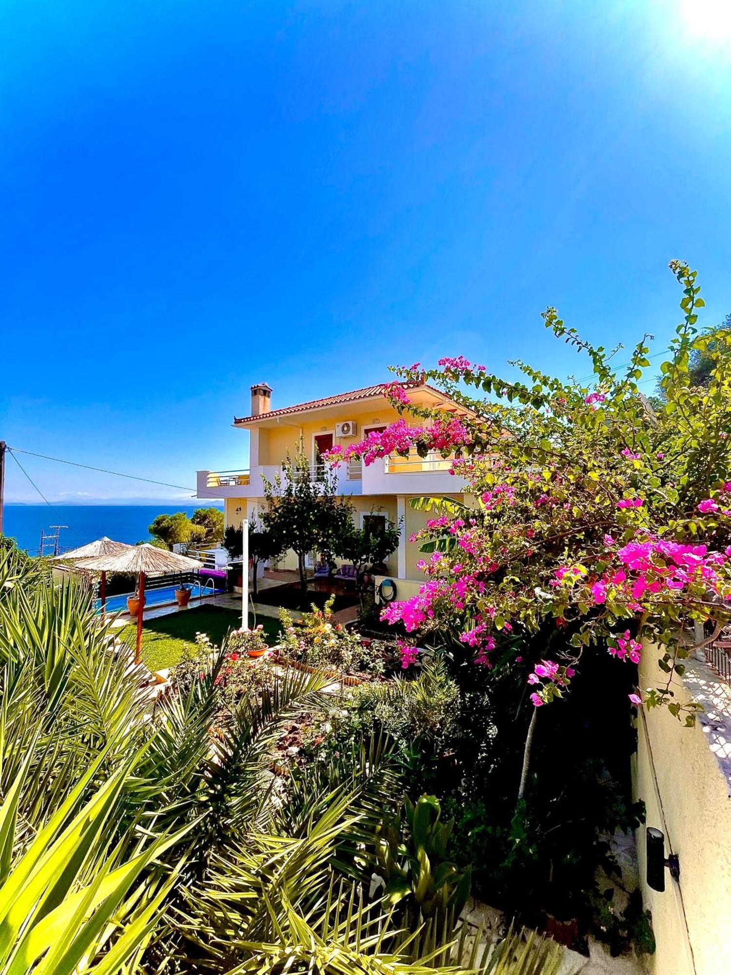Odysseas Art Villa Poros  Exteriér fotografie